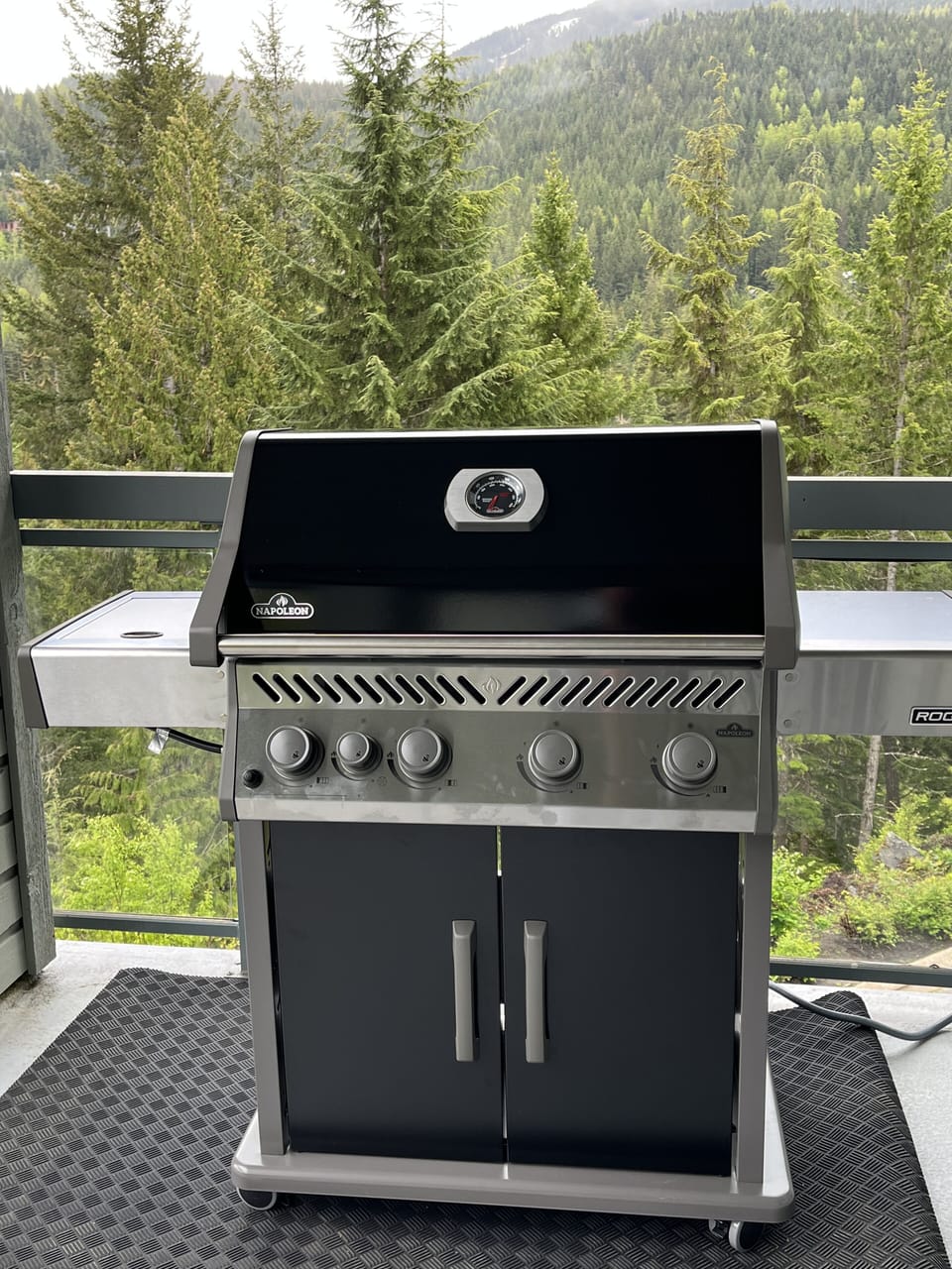 Napoleon Natural Gas BBQ