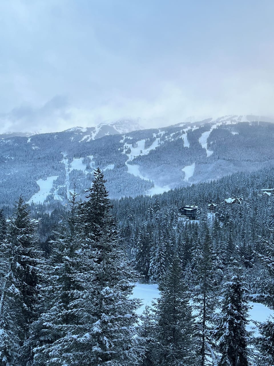 Blackcomb Mountain view from our deck