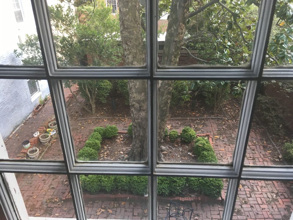 Rear yard from upstairs window
