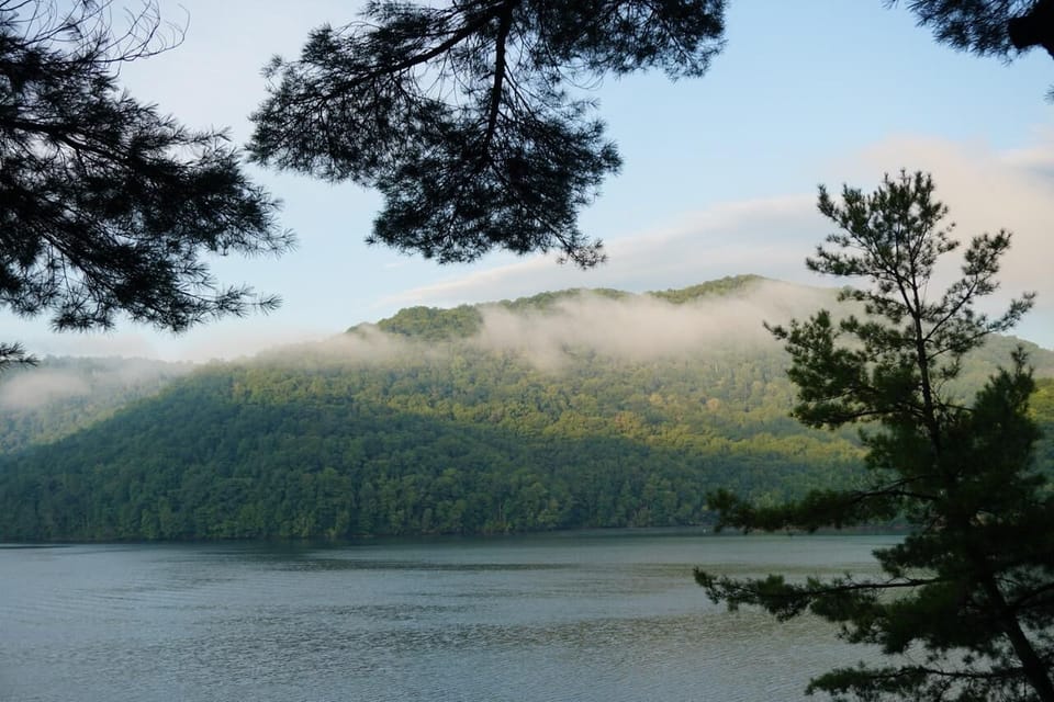 View from House/Deck