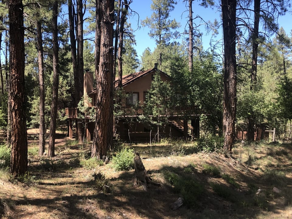 View of cabin from National Forest.