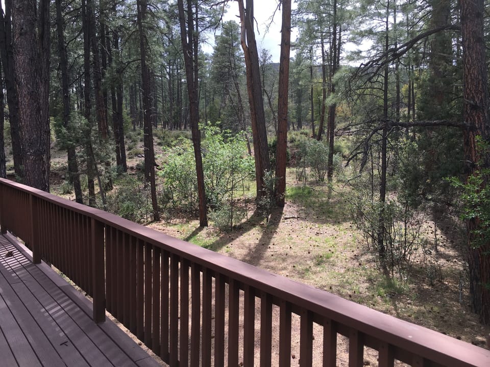 view from deck
