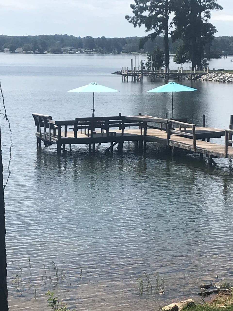 Dock and swimming area. 