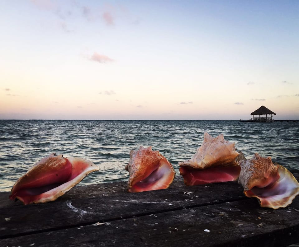 Beautiful ocean views