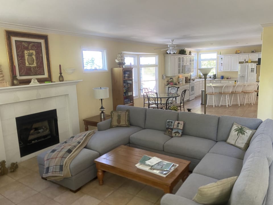 Great room with fireplace