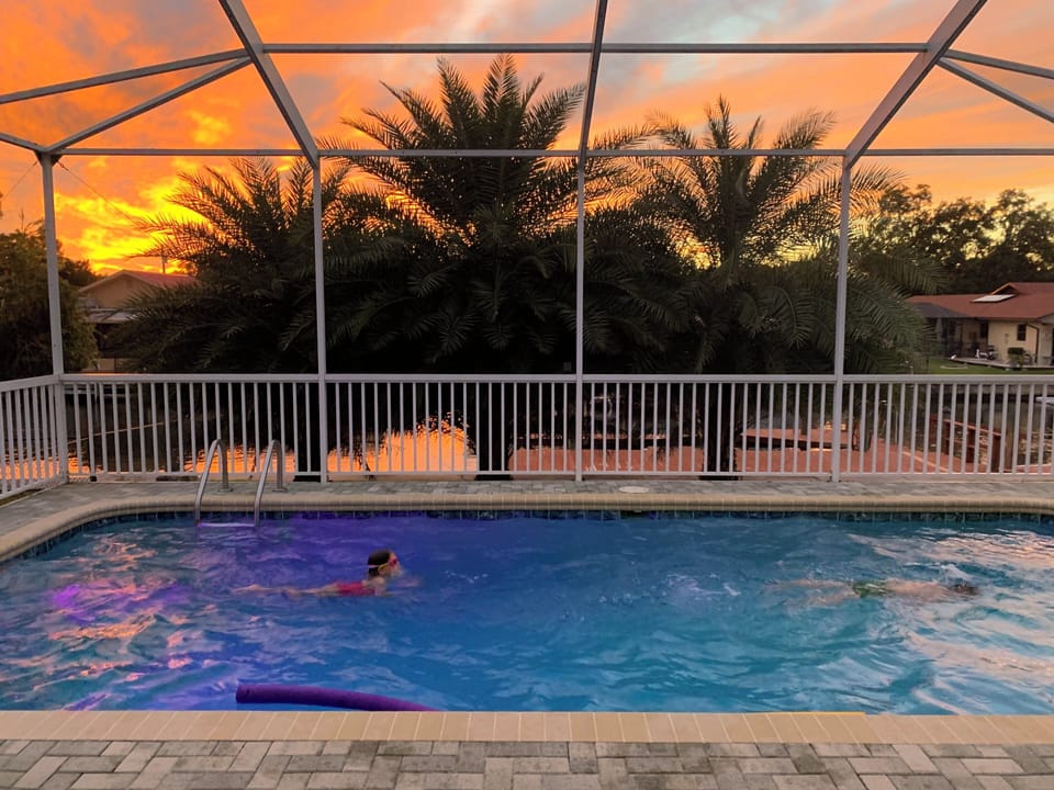 Pool at sunset with some local swimmers