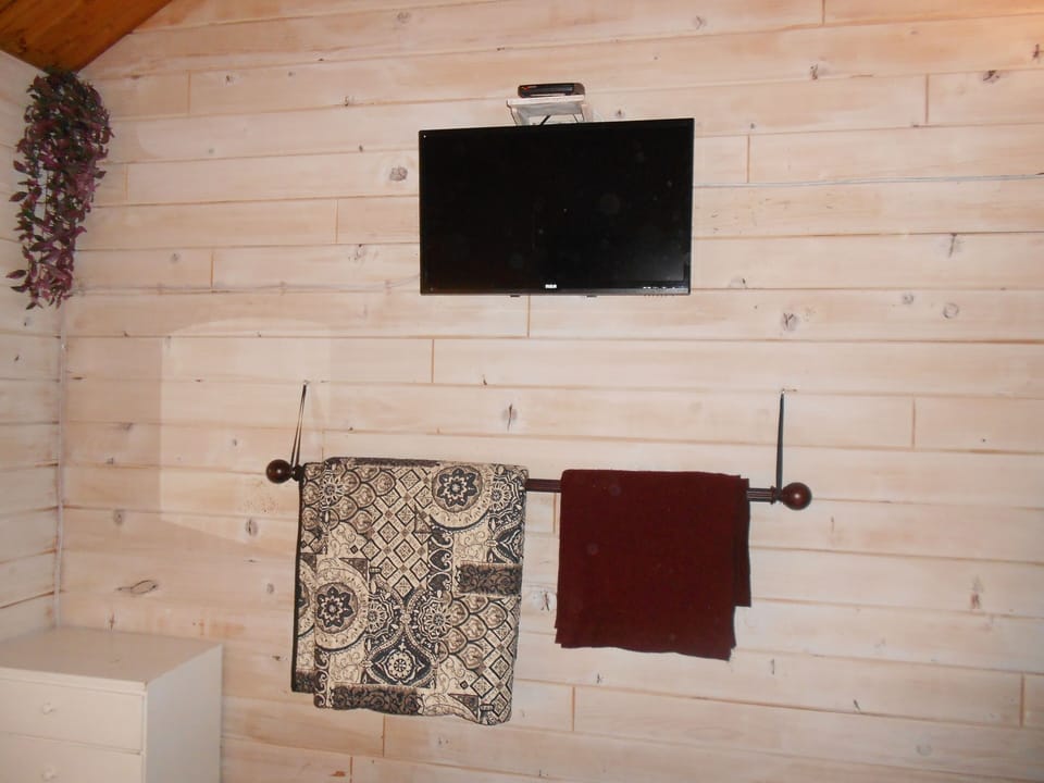  29' TV w/ cable in purple room  