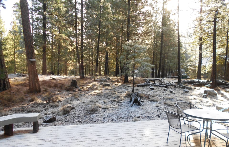 Sunlight filtering through the trees on a snow-dusted fall morning- gorgeous.