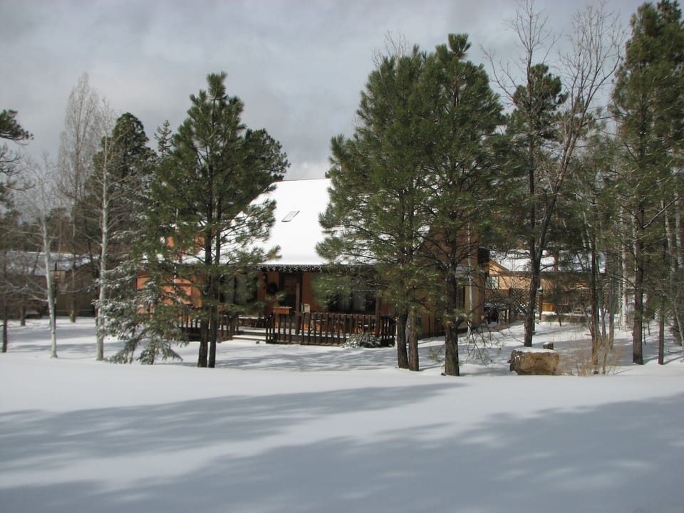 Cabin Winter Scene