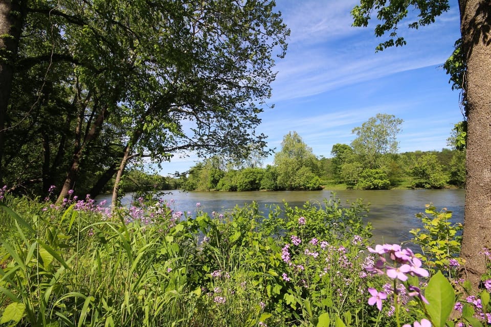 Beautiful view of the river