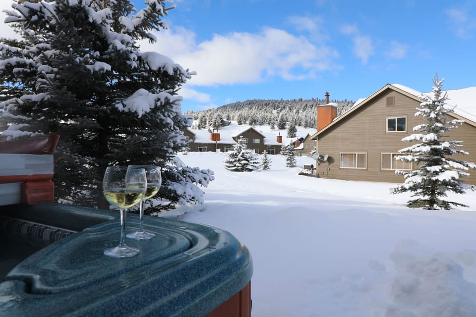 chalet back yard winter