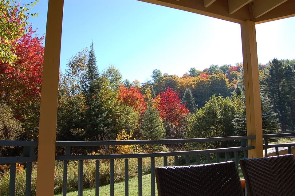 View from patio 