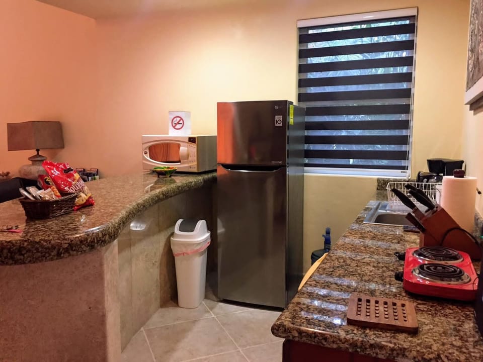 Kitchen with Large Fridge, Microwave, 2 burner cooker.