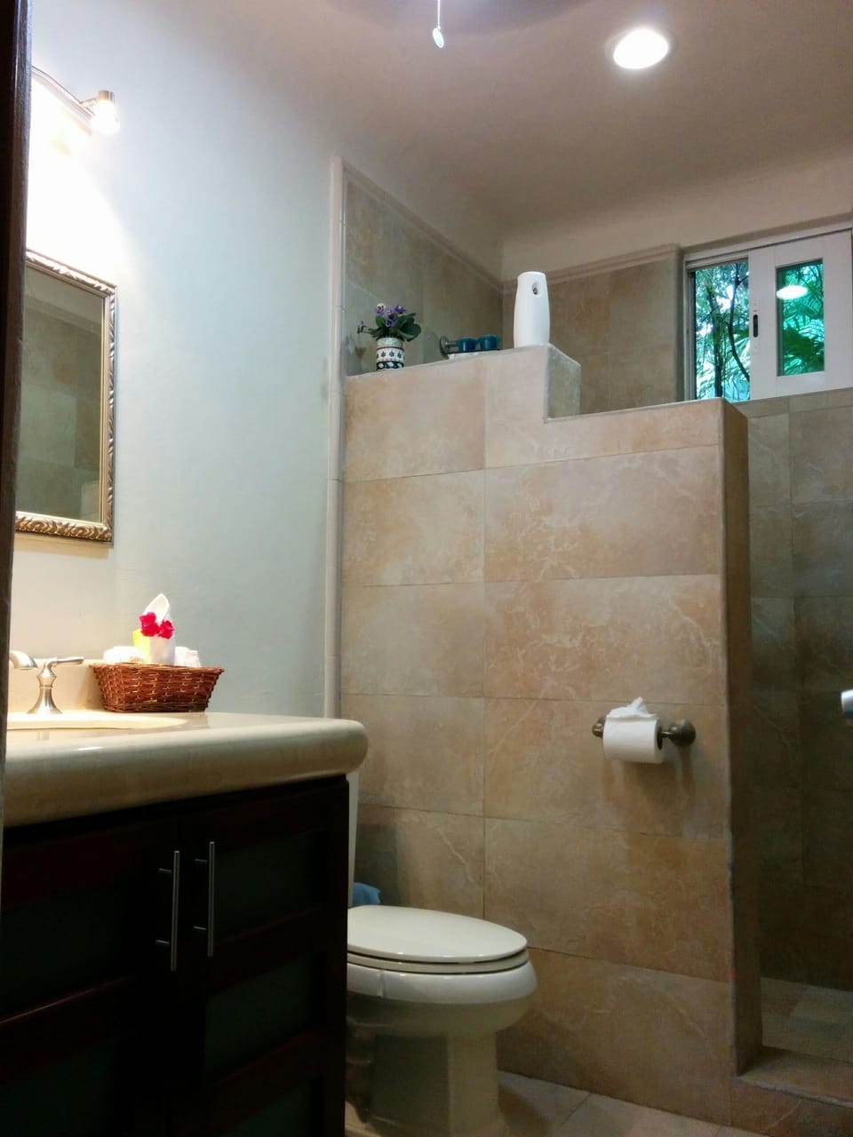 Bathroom, Wash Basin with Mirror, Toilet and Shower.