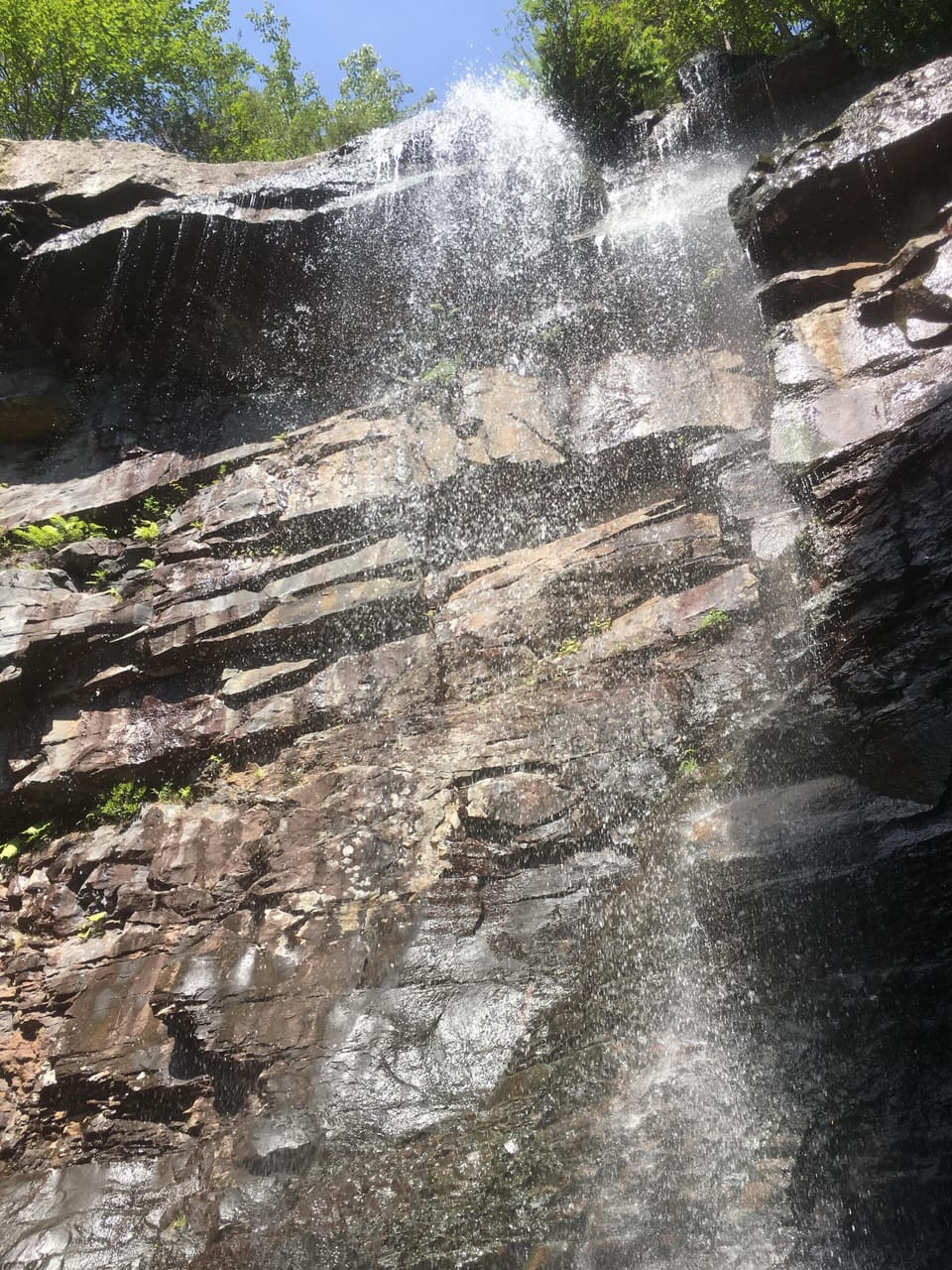 Glenn Onoko Falls Hike