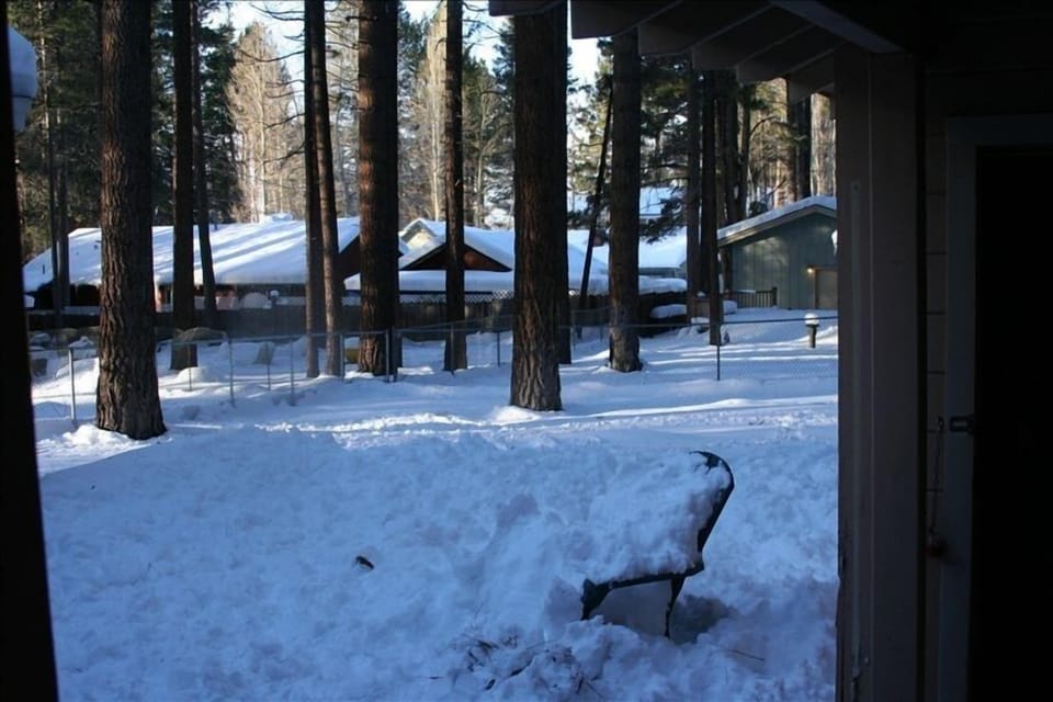 Backyard on a snowy day. Lots of room for your own private snow park.