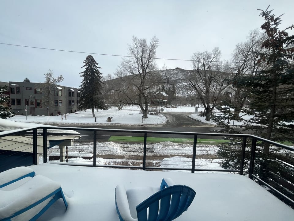 View of City Park from primary bedroom