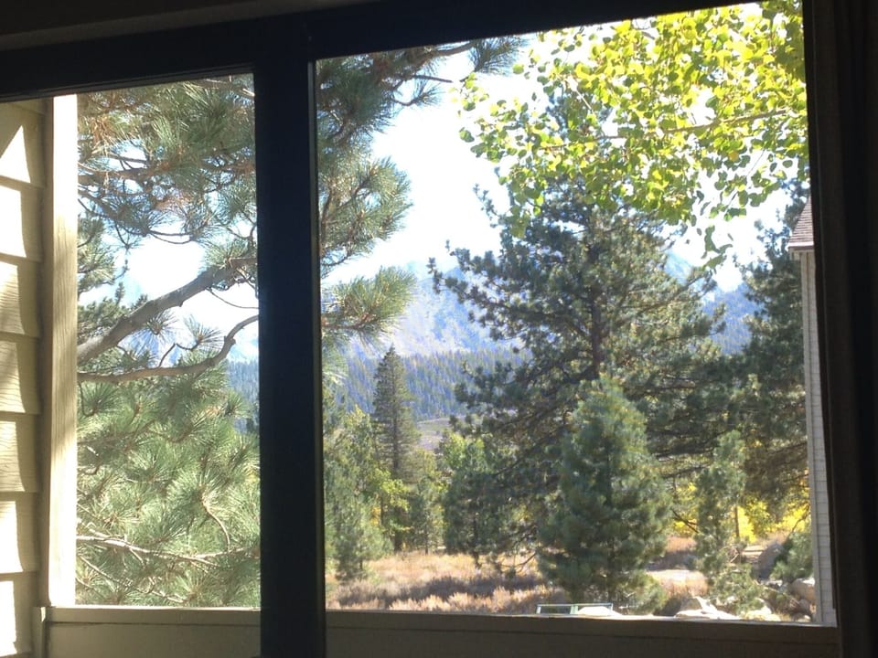 View from inside living room