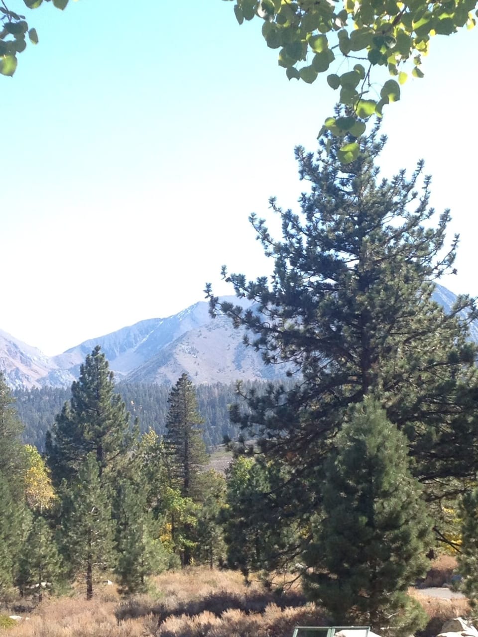 View of meadow and Sherwin Mountains from balcony