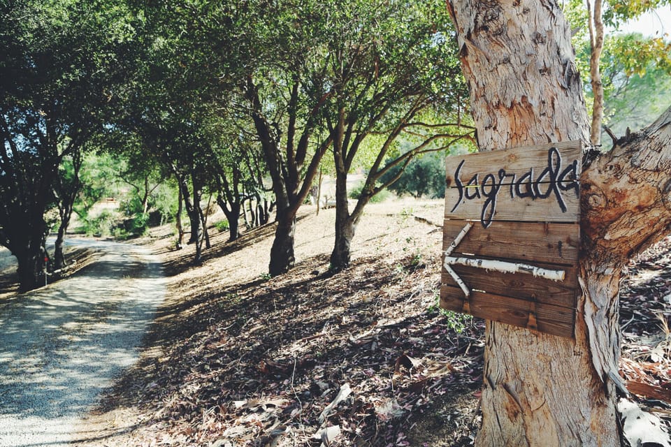 The road into our ranch. 