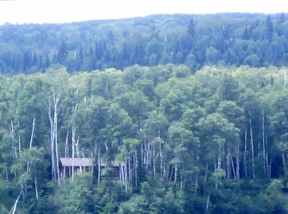 Secluded Palisade Log Cabin view from Lake Superior.