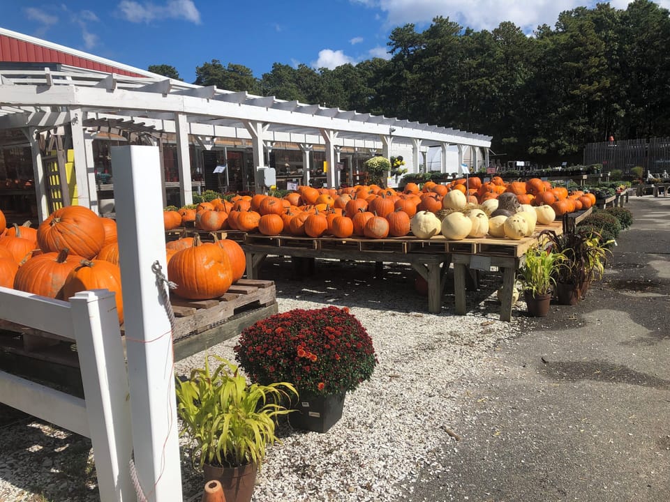 Cape Cod is the perfect  fall getaway too! 