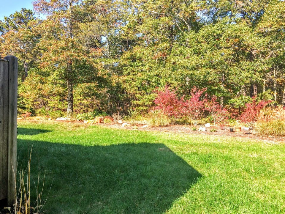 Large backyard!