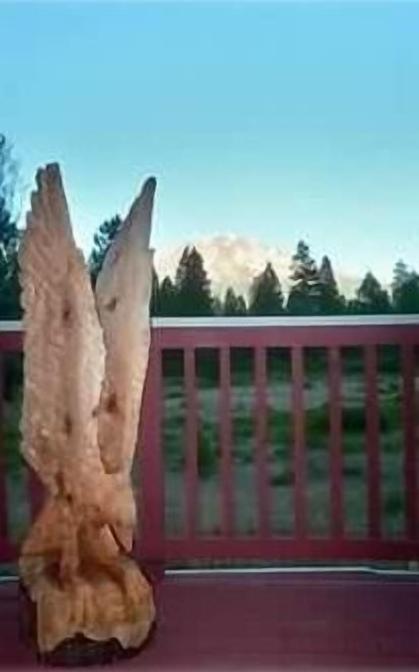View from deck.