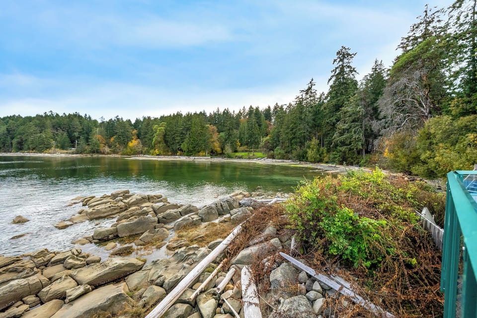 Beautiful rugged shore.