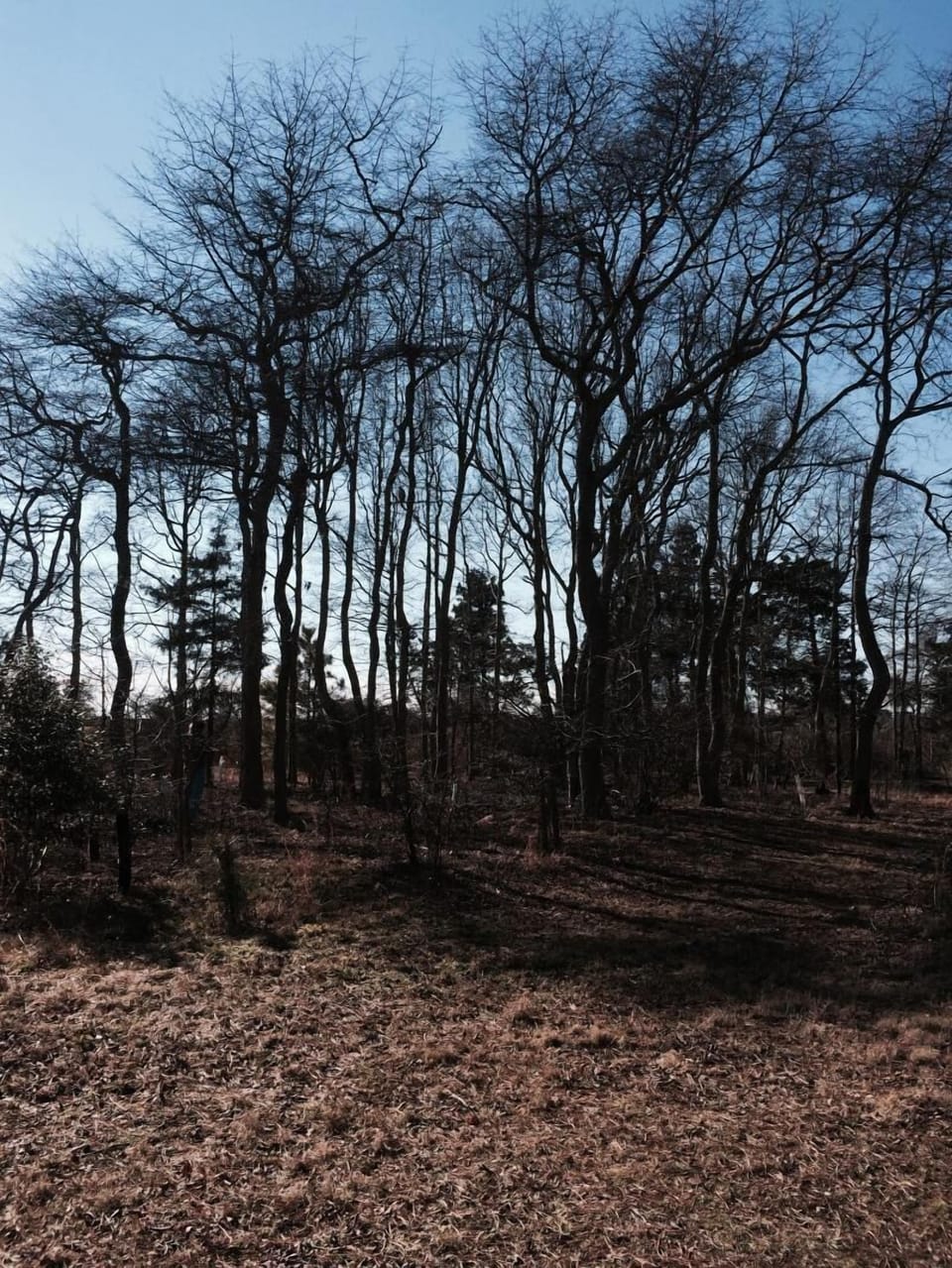 Enjoy the trails at Cape May Lighthouse State Park even in the winter!