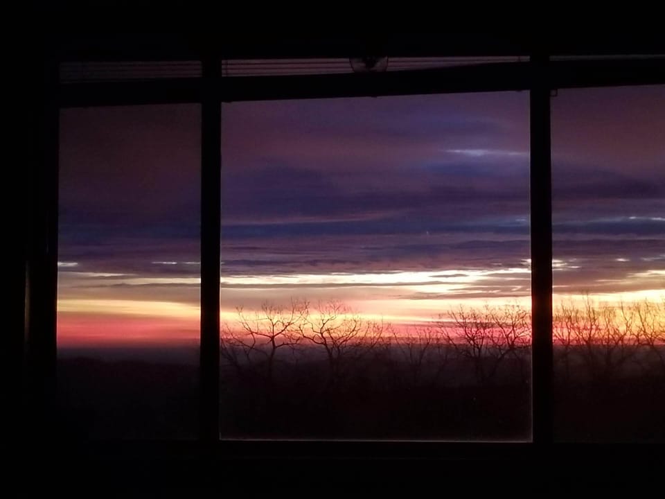 View from window in living area.