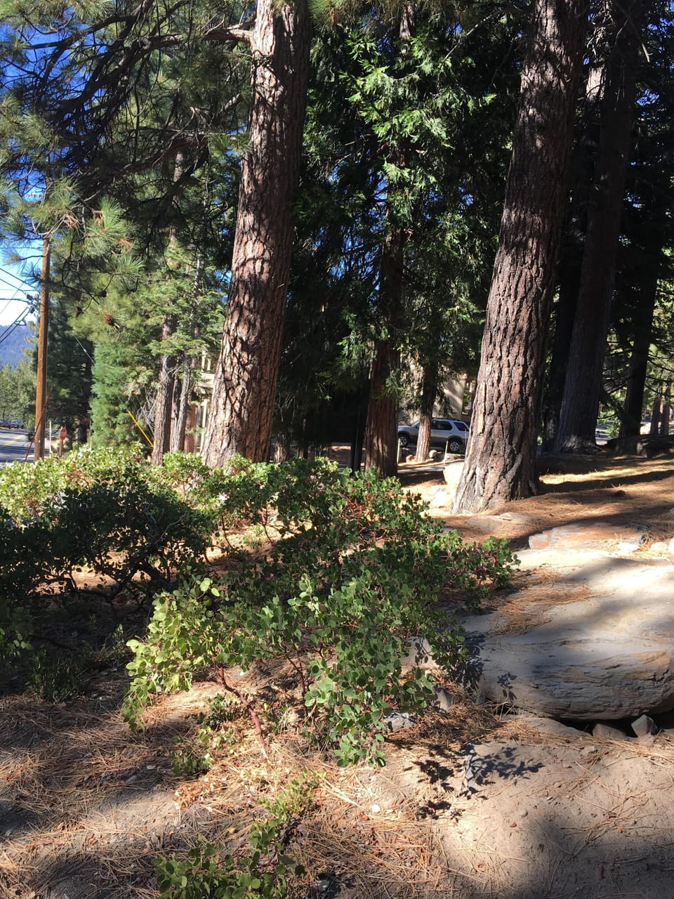 Lots of hiking and local scenery