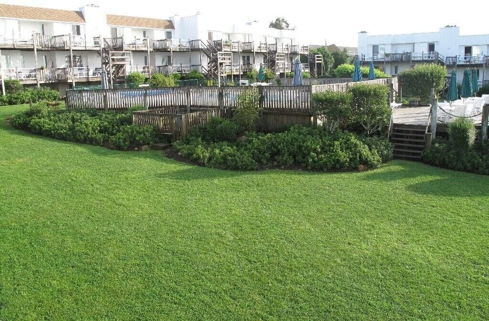 Grounds and pool area
