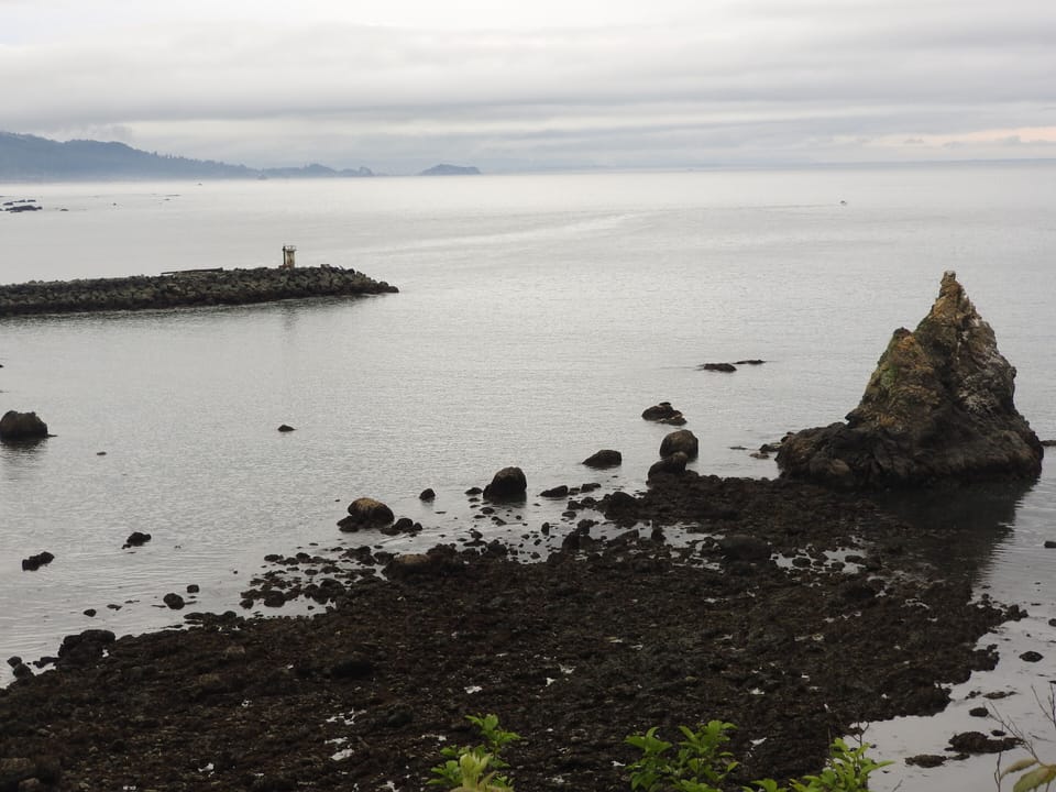 Low Tide