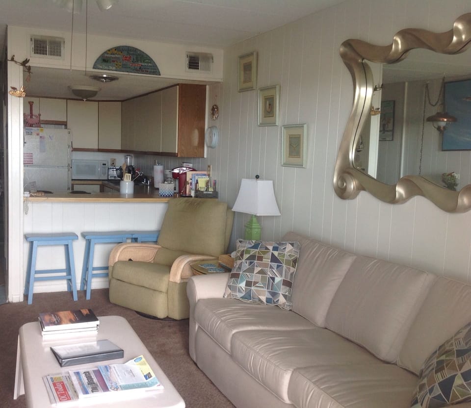 Living room with queen pull out sofa and recliner.