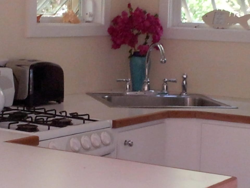cute cozy kitchen