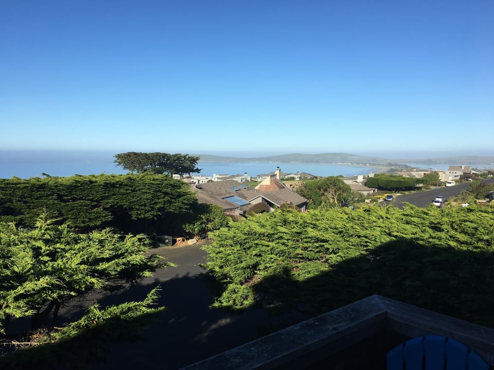 View on a Sunny Day.