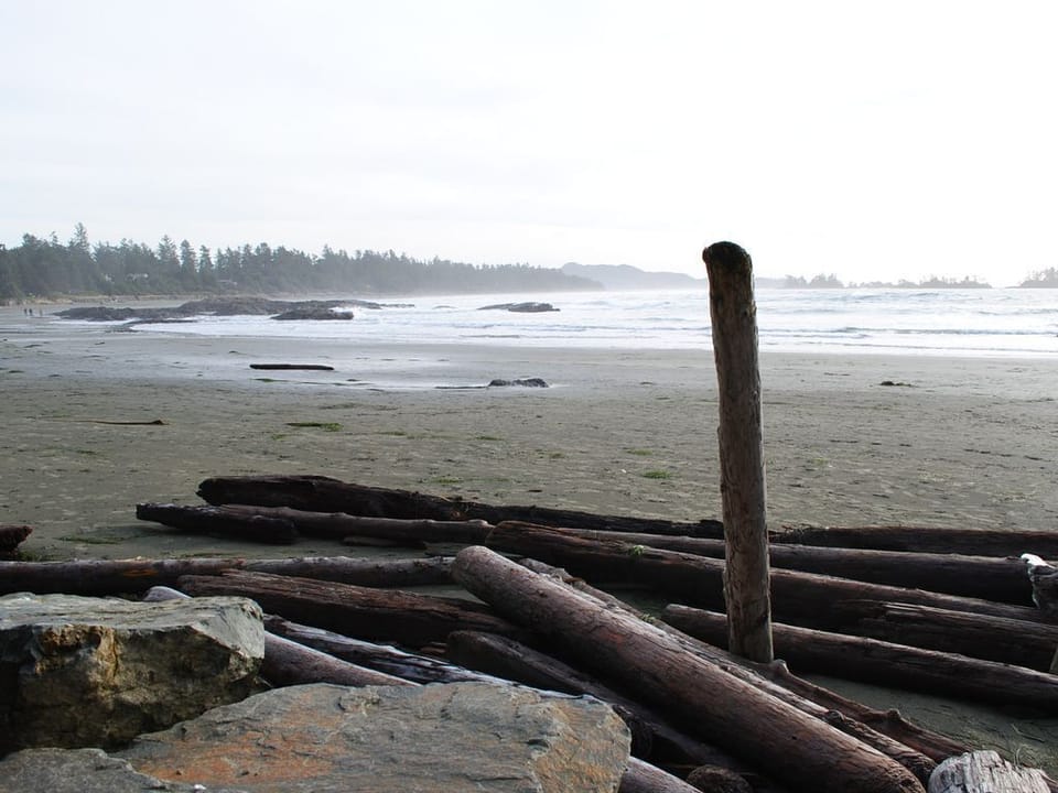 Chesterman Beach