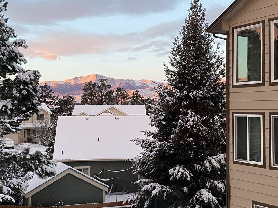 Winter view from dining room window