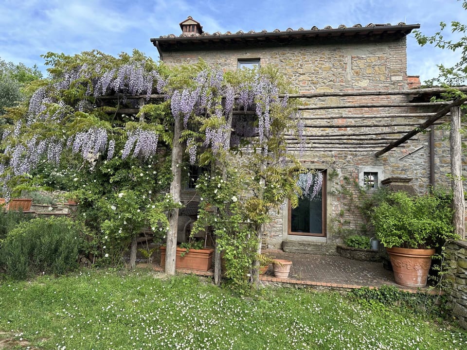Westeria pergola
