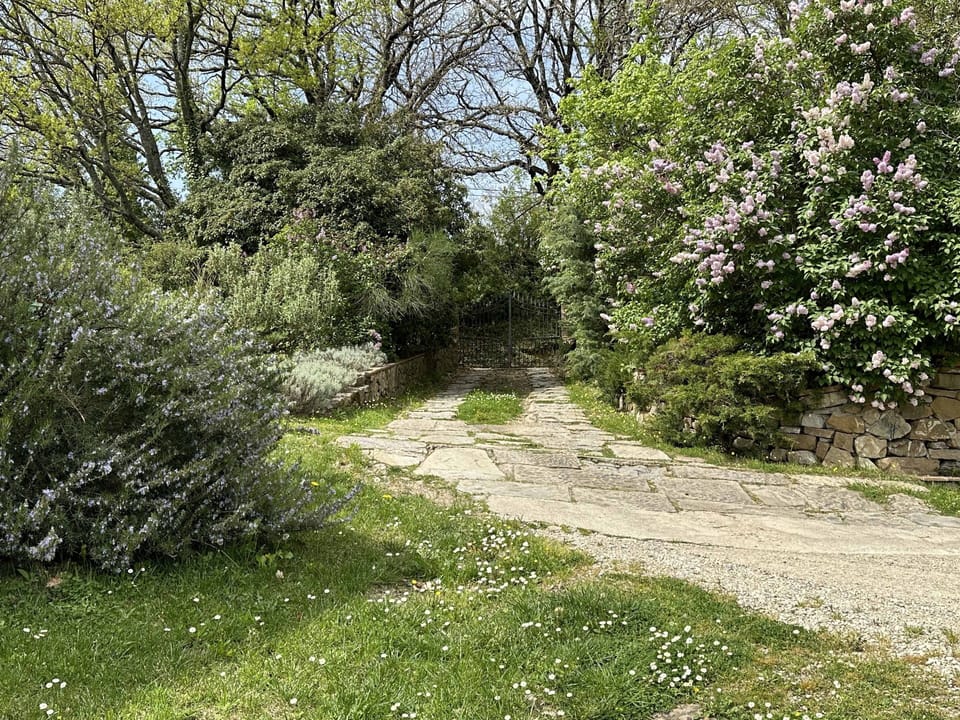 Entrance road