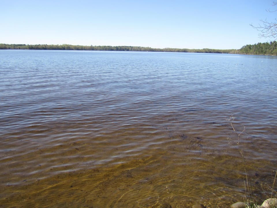 Lake front shoreline with sandy bottom , great for swimming or cooling off