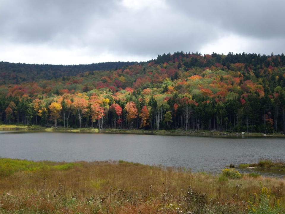 Snowshoe fall colors are spectacular!