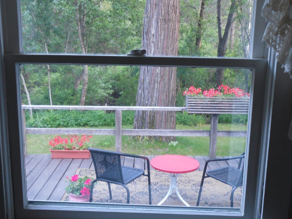 The back deck, creek is about 20' from the deck