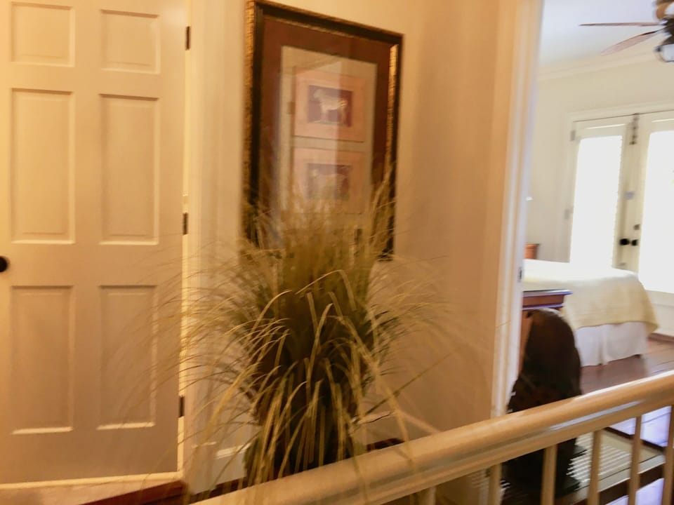 View from Hall into Front bedroom.