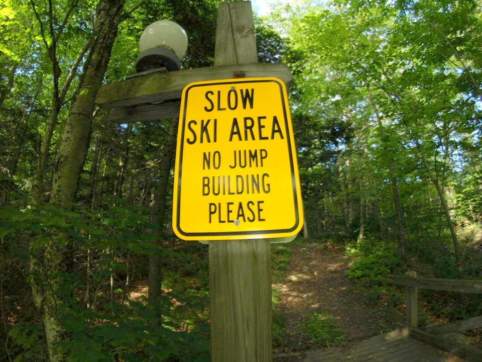 ski home bridge