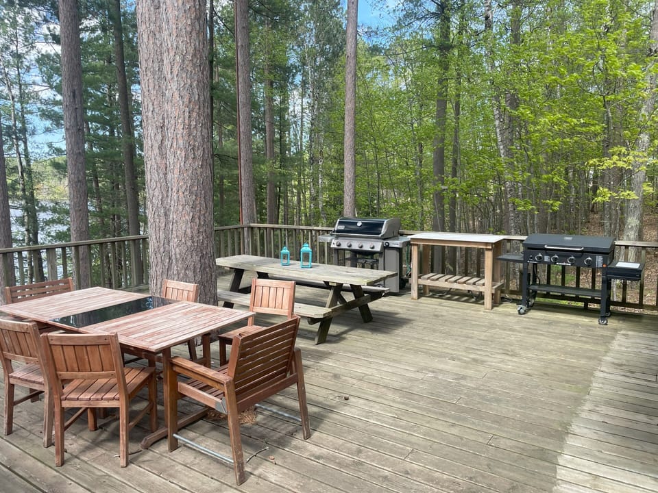Big Deck with Large Gas Grill and Gas Blackstone, Picnic Table and Table/Chairs