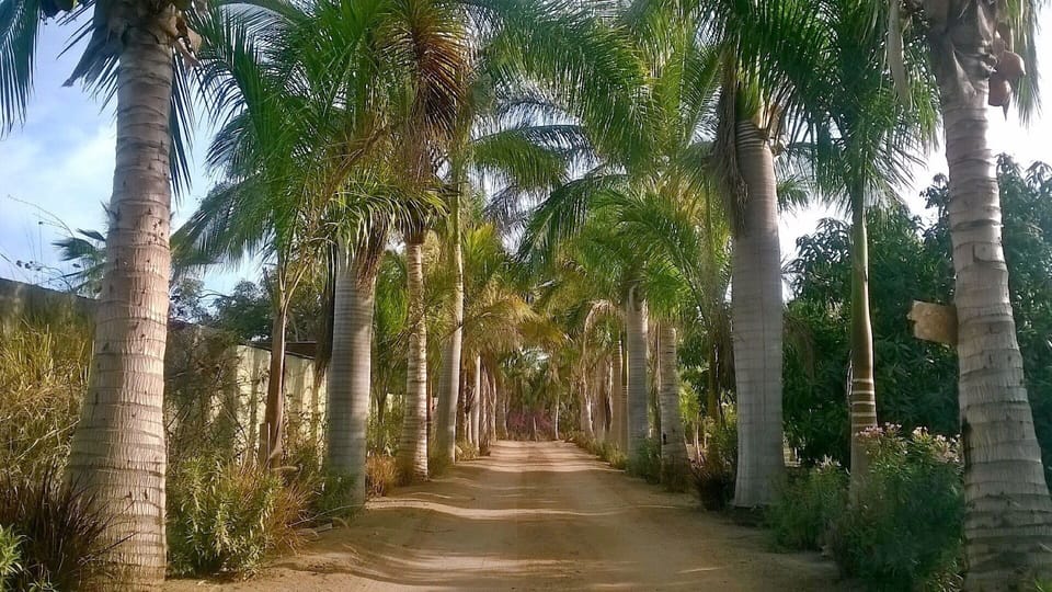 Our driveway. As you enter ranch take a deep breath, this is as good as it gets