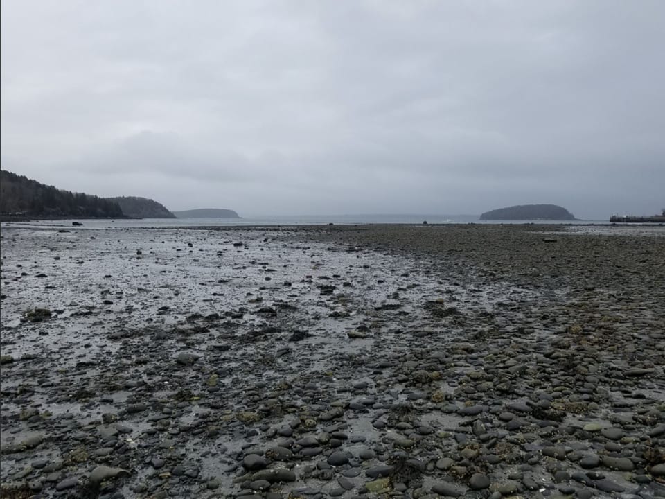 The view from an inlet near Bar Harbor