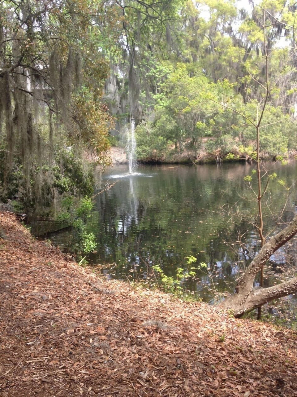 Fountain / lagoon on property